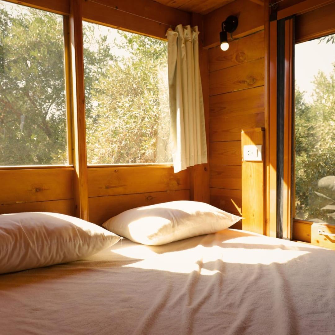 Northern Lake Lodge Izbat Ilyas Ngoại thất bức ảnh