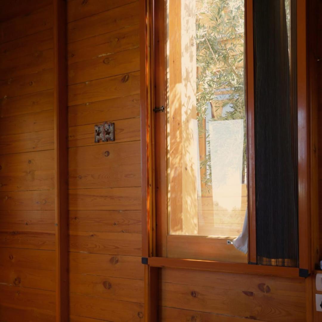 Northern Lake Lodge Izbat Ilyas Ngoại thất bức ảnh